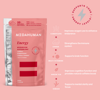 The Energy Bundle
